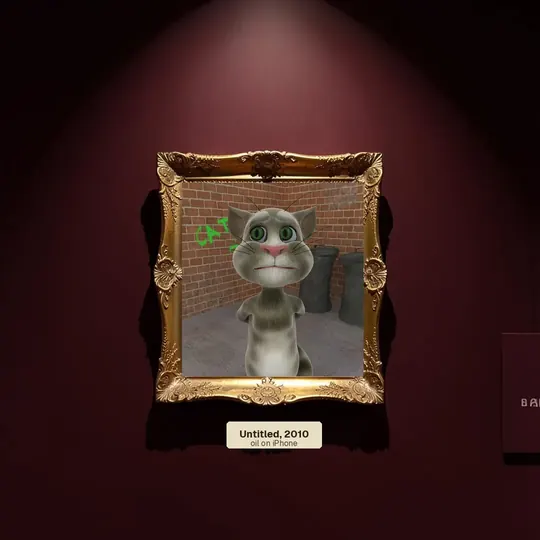 The 2010 alley picture framed in a museum