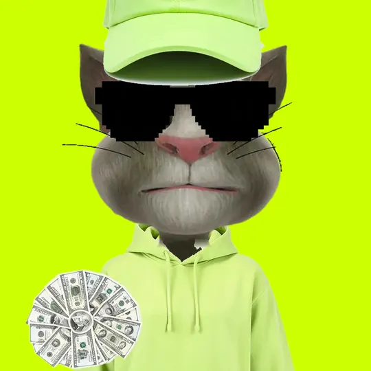 The cat in a lime cap and pixel shades