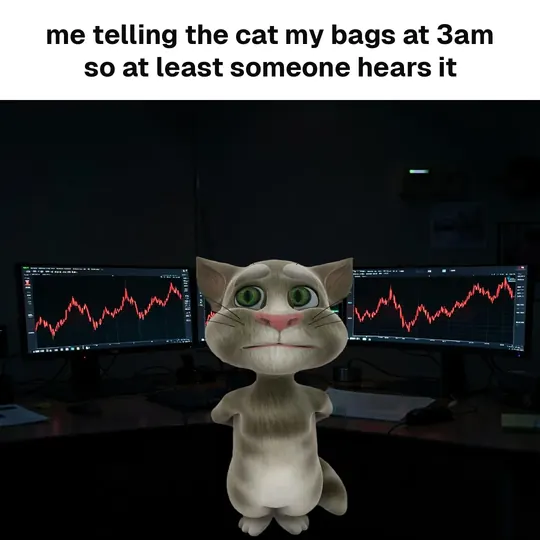 Telling the cat my bags at 3am